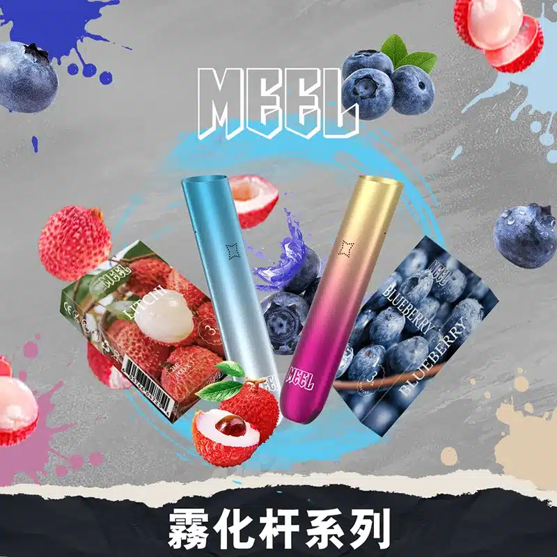 MEEL-1代主機
