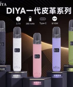 diya皮革主機