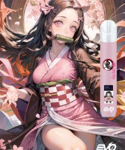 evo聯名主機