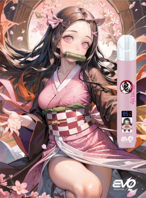evo聯名主機