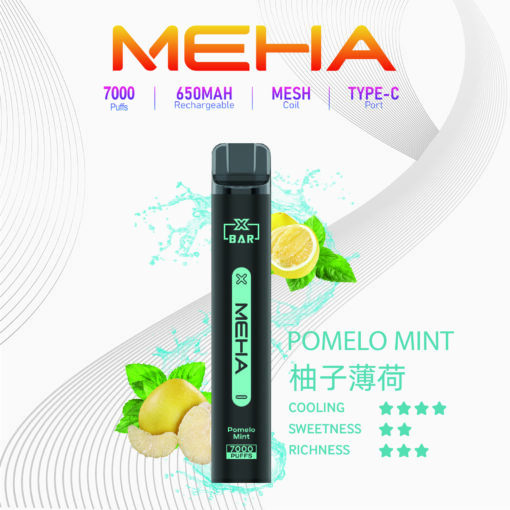 MEHA XBAR小黑條一次性電子菸 | 7000 Puffs 強勁續航 | 650mAh 可充電 | MESH 霧化芯 | Type-C 接口 | 16種豐富口味 - 图片 10